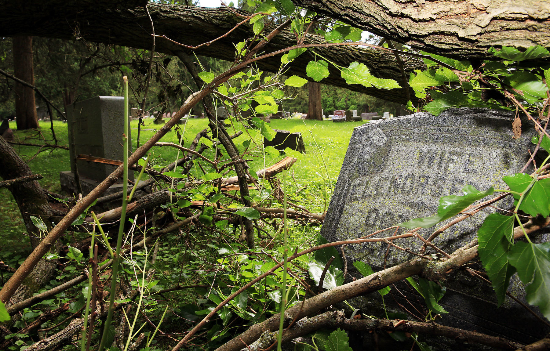 Fairmount Cemetery 04